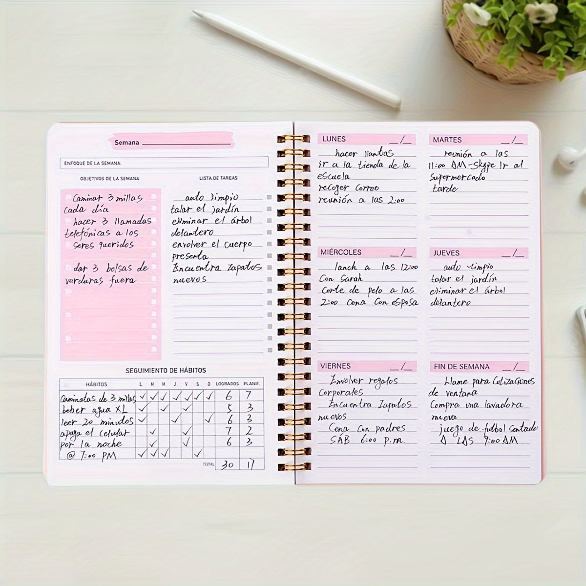 52 Week English Weekly Planner - Meal Prep Planner 评论和价格