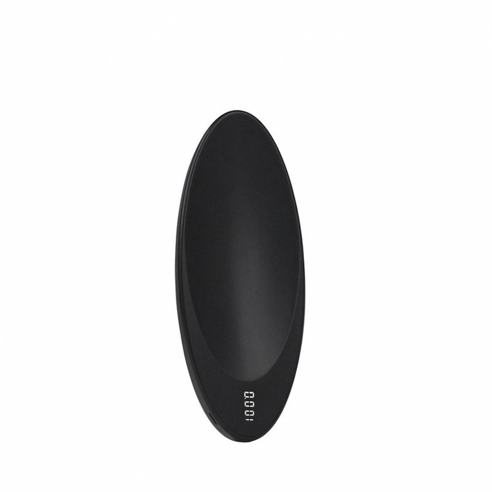 Electronic Tea Scale with Digi - Portion Scale Digital 评论和价格