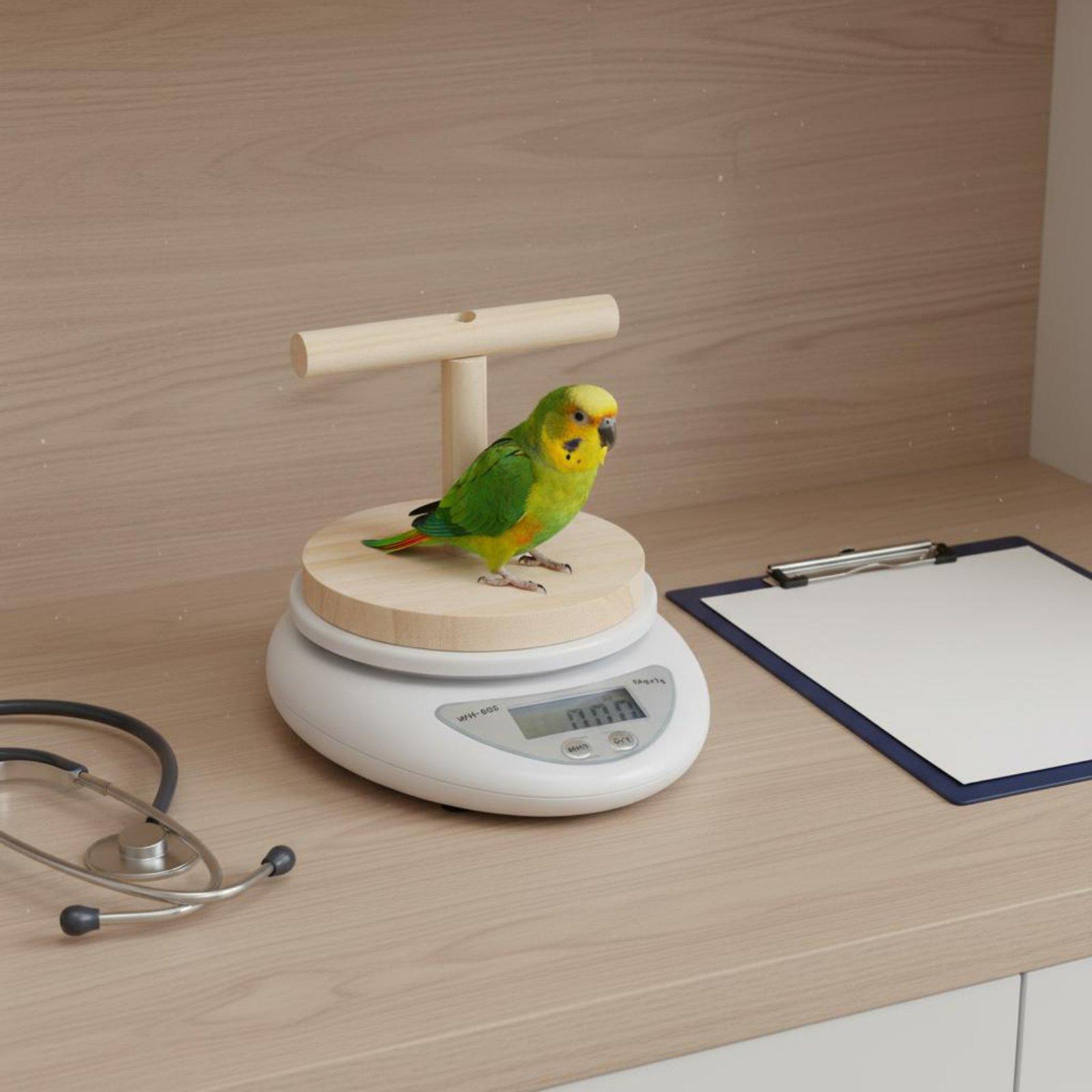 Precision Avian Scale Wood T B - Portion Scale Digital 评论和价格